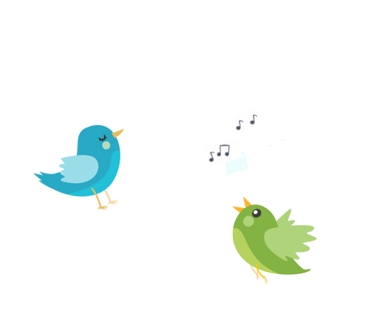 bird